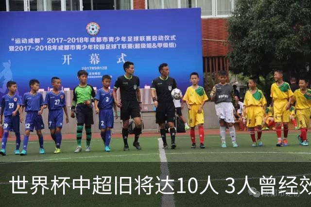 世界杯中超旧将达10人 3人曾经效力国安海港两将