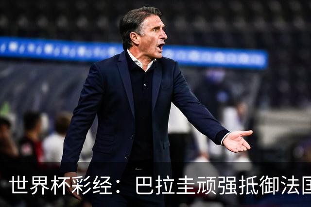 世界杯彩经：巴拉圭顽强抵御法国