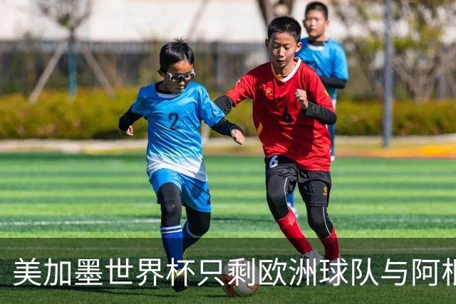 美加墨世界杯只剩欧洲球队与阿根廷队