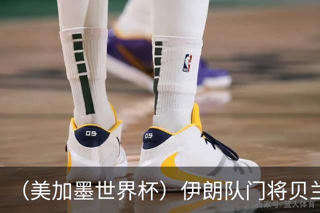 （美加墨世界杯）伊朗队门将贝兰万德的“满分”