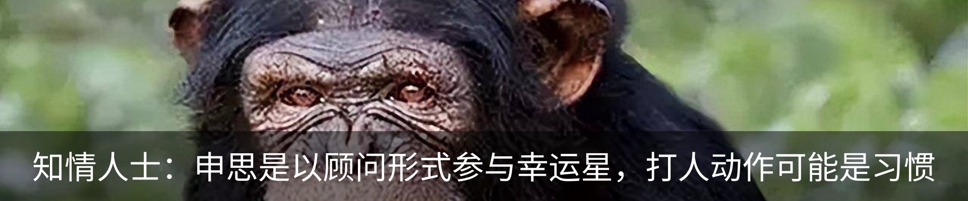 行业资讯